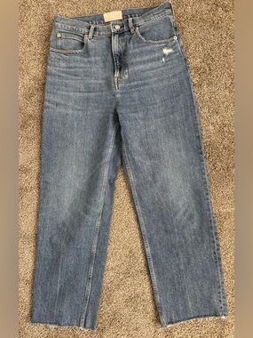 Everlane The Way High Jean High Rise Straight Leg Jeans  Raw Frayed Hem Size 28